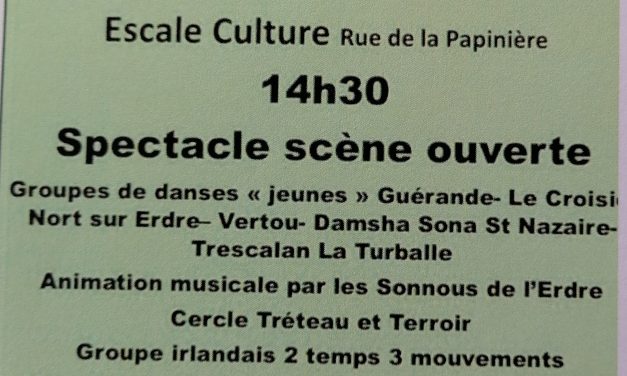 Festival Anne de Bretagne les 14 et 15 mai à Sucé-sur-Erdre