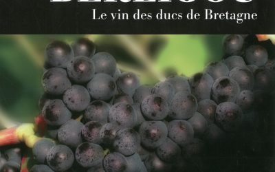 C’est la saison des vendanges !