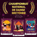Résultats du Championnat national de danse bretonne 2024