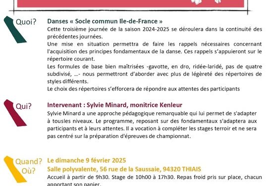 Stage de danse “socle commun” à Thiais